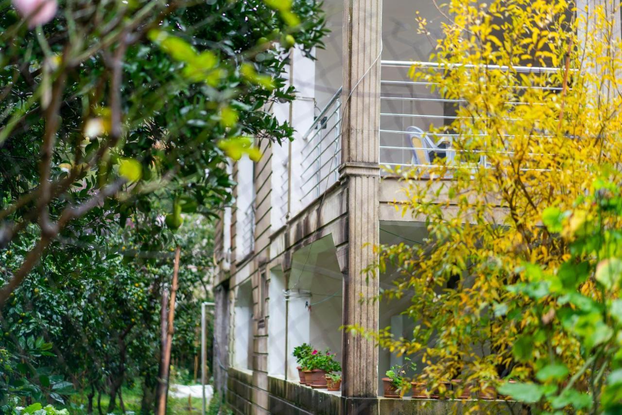 Marina Kvariati Exterior photo